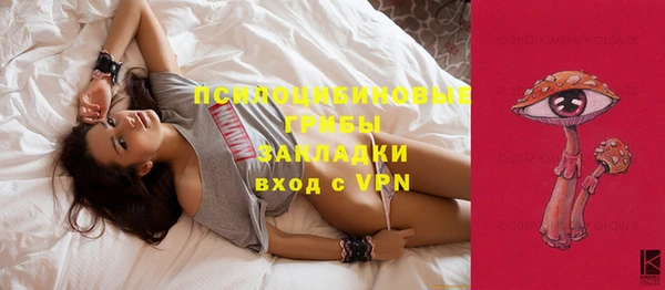 герыч Бородино