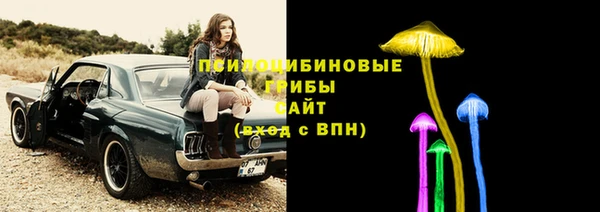 эйфоретик Бронницы
