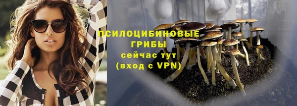 эйфоретик Бронницы