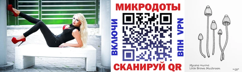 Псилоцибиновые грибы Psilocybe  где купить   Любим 