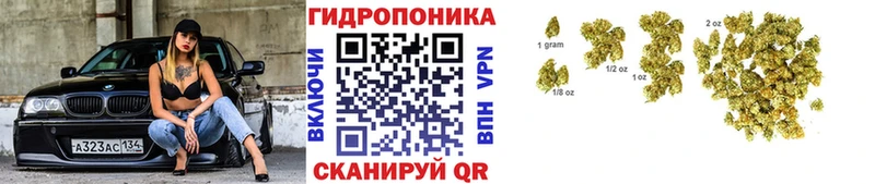 хочу наркоту Любим Шишки марихуана AK-47